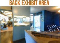 Marine Museum - Back Gallery